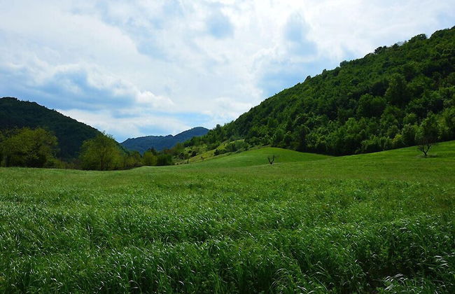 Agriturismo Campo Rosso - Foto 48