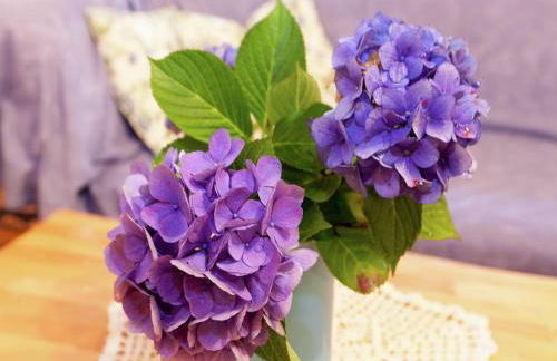 Hideaway Near Black Forest - Photo 78