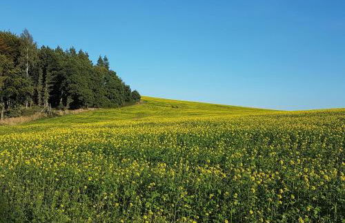 Reichstädter Ferienidyll - Foto 13
