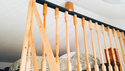 La Salamandre - Photo 4