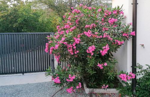 Apartman Lavanda sa bazenom i okućnicom 4* - Foto 31