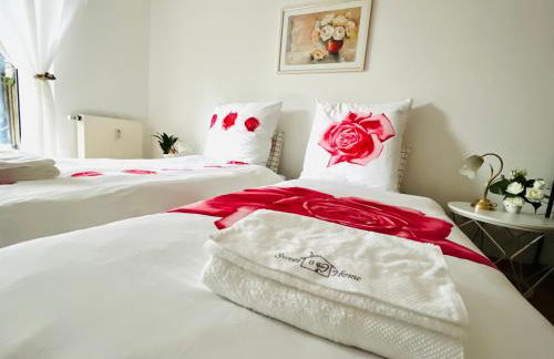 53qm 2Zimmer helle Familiewhg mit Garten nahe Uni - Foto 11