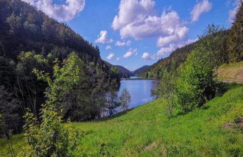 Small and Cozy Apartment in Frauenwald near Forest - Foto 78