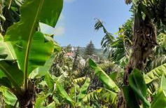 Casa L&M - Refúgio com Horta Biológica Certificada - Foto 44