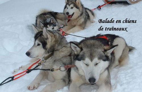 Aux pieds des cimes - Foto 36