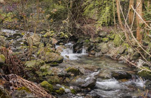 Bellfoot Rural Retreat and Hot Tub - Photo 3