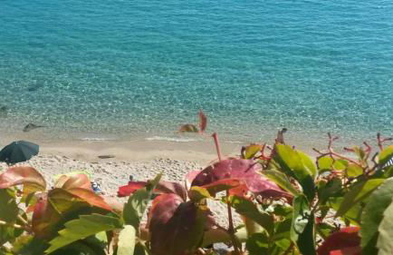 La Conchiglia - Foto 1