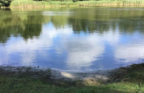 Welsh Dragon - Foto 34