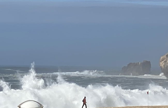 Bayview Nazaré - Foto 32