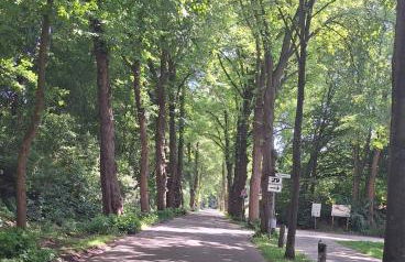 Parva Domus - Foto 42