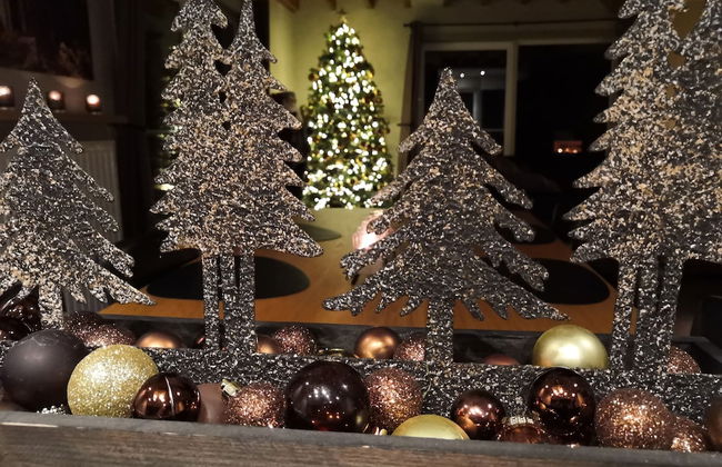 Beautiful, Luxury Home with Sauna, Hot Tub, Private Bathrooms - Foto 45