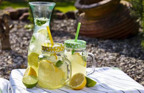 Die Alte Schmelz - Foto 22