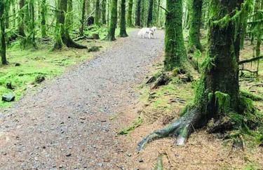 The Old School House, luxury home with hot tub. - Foto 42