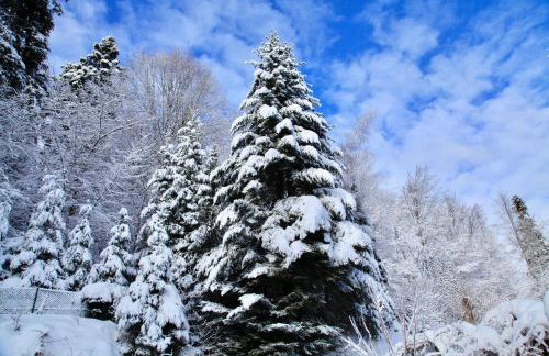 Komfortowy Dom w Chmurach - Foto 61