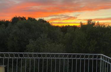 Relax Capannaccia - Photo 11