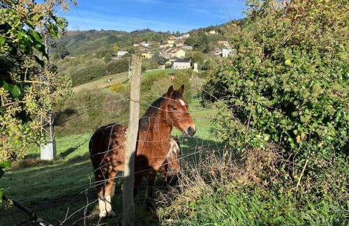 A Casa da Fonte - Foto 28