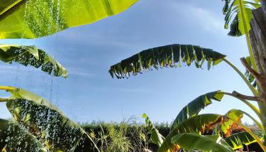 Sunset River Villa, Lisbon - Foto 2