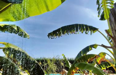 Sunset River Villa, Lisbon - Foto 2