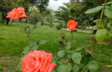 Agriturismo da Remo - Foto 13