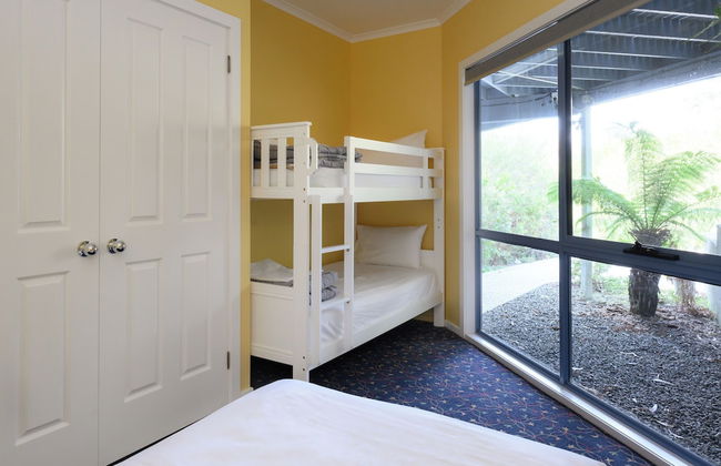 Forest Edge - Foto 5