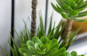 Sunrise Monsaraz - Telheiro e Jardim - 4 pessoas - Foto 30