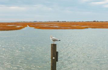 Jones Beach Houseboat - Photo 58