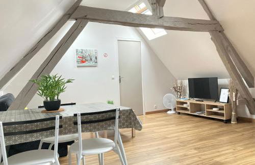 A&J COSY - Neuvy sur Loire - Guédelon - Foto 7