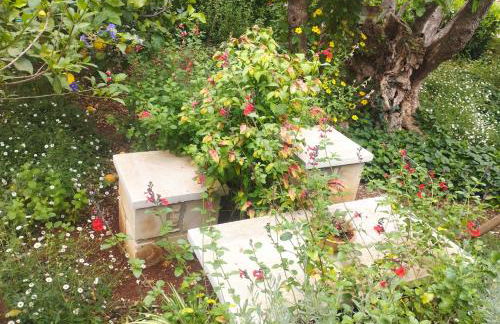 Olive Lemon Biophilic House & Lush Forest Garden - Foto 43