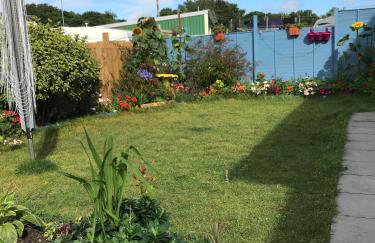 Driftwood Seagrass - Photo 31