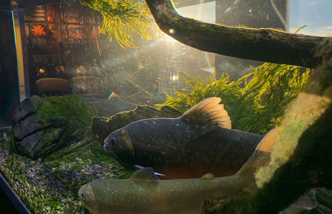 Norsk Havbrukssenter AS - Photo 53