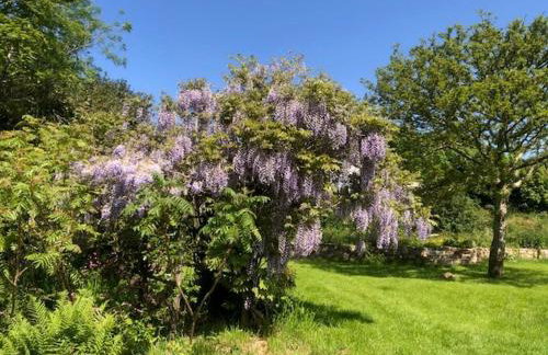 Polgwedhen Lodge - Photo 40