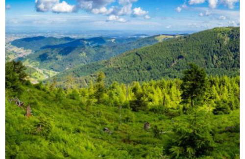 Traumblick FeWo mit Pool - Foto 25