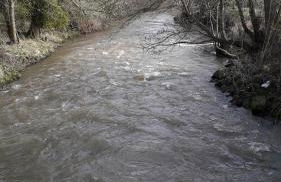 Lucea Cottage - Foto 45