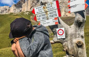 Cesa Bernard - Apartment Cima 12 e new Apartment Fraine - Foto 52