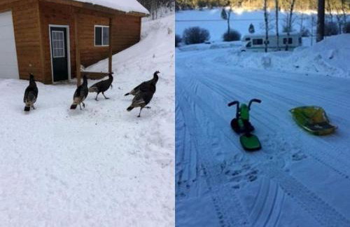 Rustic Pet-Friendly Cabin with Private Deck near Newcastle, Wyoming - Foto 18