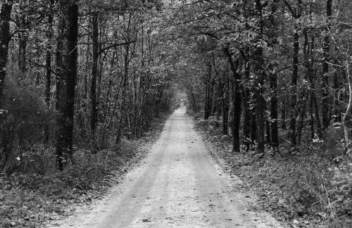 Évasion champêtre : Maison avec piscine, tennis, et étang au cœur de 50 hectares de forêt - FR-1-410-307 - Photo 21