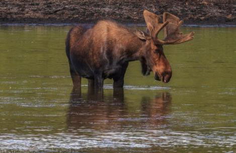 Sweet MTN Cabin 2bedroom 2bath picturesque views - Foto 28