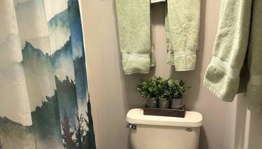 1st Floor Mountain View Suite Ski On Off At Jiminy- Fully Redone Decor - Foto 5