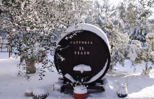 Agriturismo IL VIAIO - Foto 88