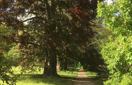 A&C Bergen - Foto 35