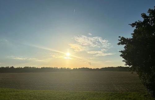Großzügiges Landhaus mit Pool & Kamin - ideal zwischen Leipzig und Dresden - Spacious Country House with Pool near Leipzig & Dresden - Foto 47