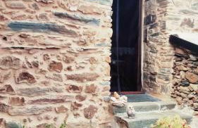 Casita de Florita - Foto 5