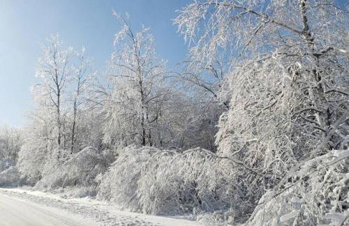 Paradise in heart of Poconos FaSt InTeRnEt Close to All Attractions - Foto 33