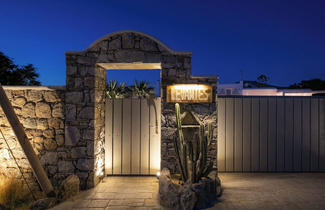 Levantes House Mykonos - Photo 49