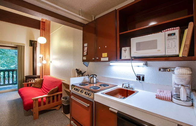 56SLL - Fireplace - Inexpensive - Kitchenette - Sleeps 4 - Foto 6