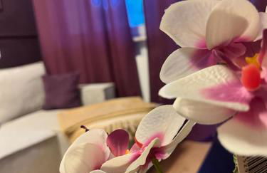 Purple Escape Balkon Netflix zentral - Foto 11