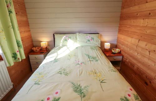 Dolly's Hideaway Cabin - Foto 16