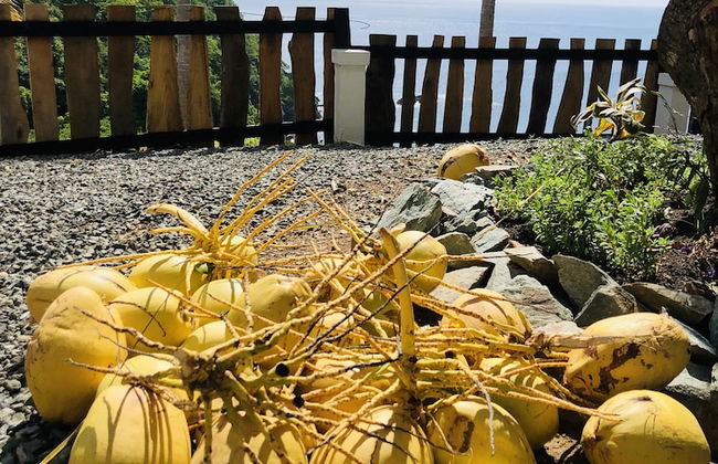 Castara Inn - Photo 73