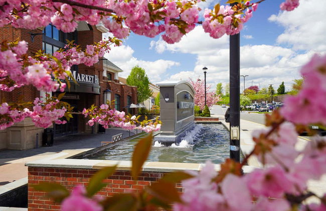 Tour dello shopping negli outlet - Foto 4