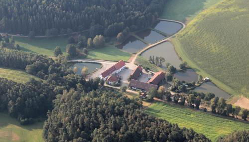 Ferienwohnungen am Büchlhof im Oberpfälzer Seenland - Foto 2